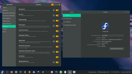 fedora29-gnome3.30-canta_dark-newaita-bibata.png